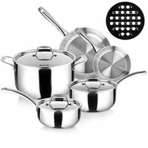 Duxtop Whole-Clad Tri-Ply 9PC Stainless Steel Induction Cookware Set Review